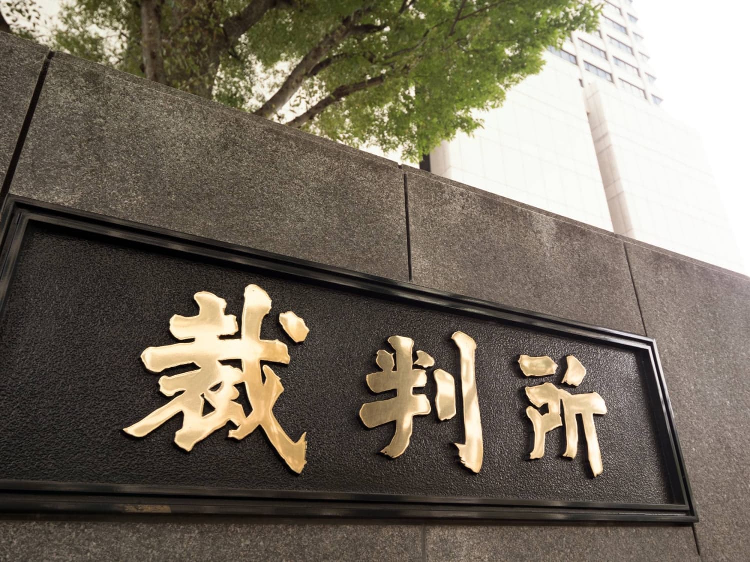 Former Alt AI Executives Convicted of Financial Misrepresentation