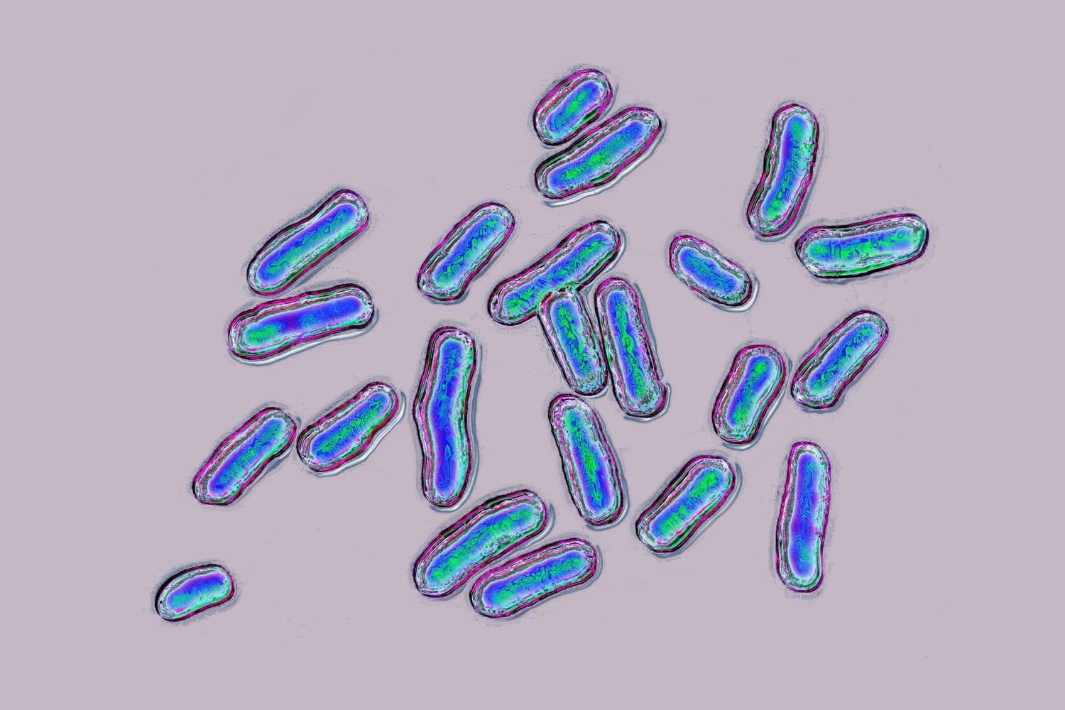 Research Links Climate Change to Rise in Antibiotic-Resistant Salmonella
