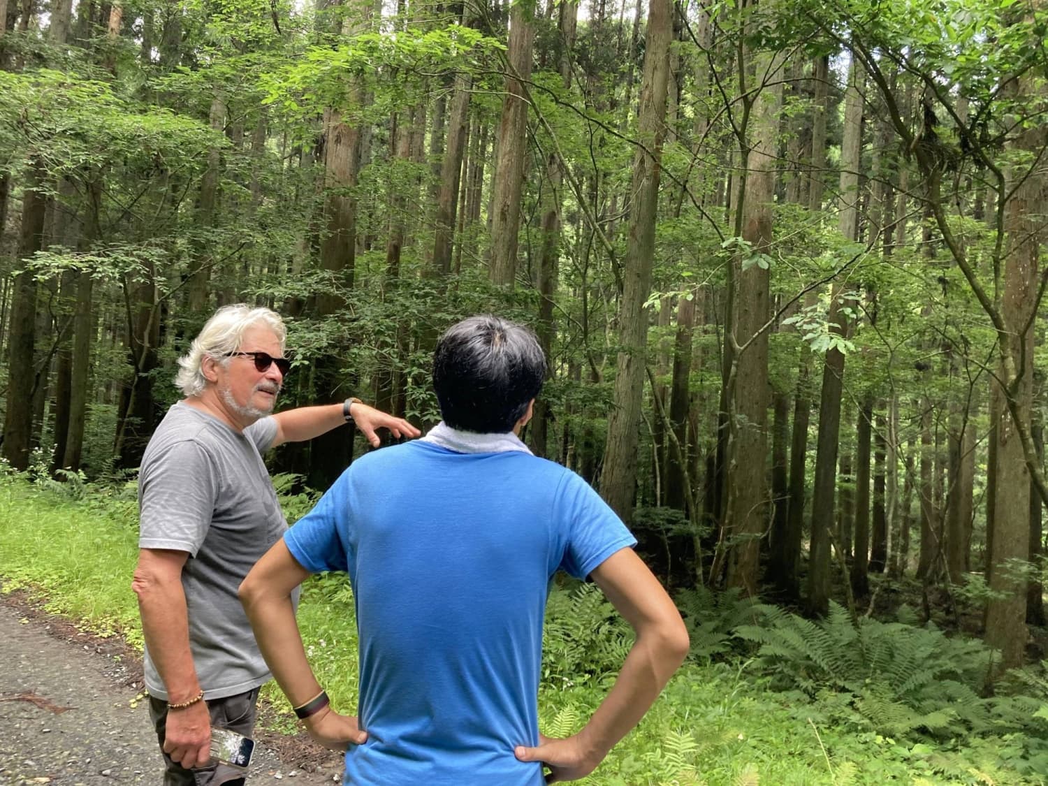 Carbon Finance May Revitalize Japan's Struggling Forestry Sector