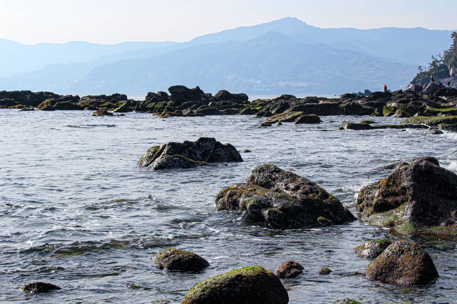 Authorities Discover Four Bodies Near Kanagawa Coast