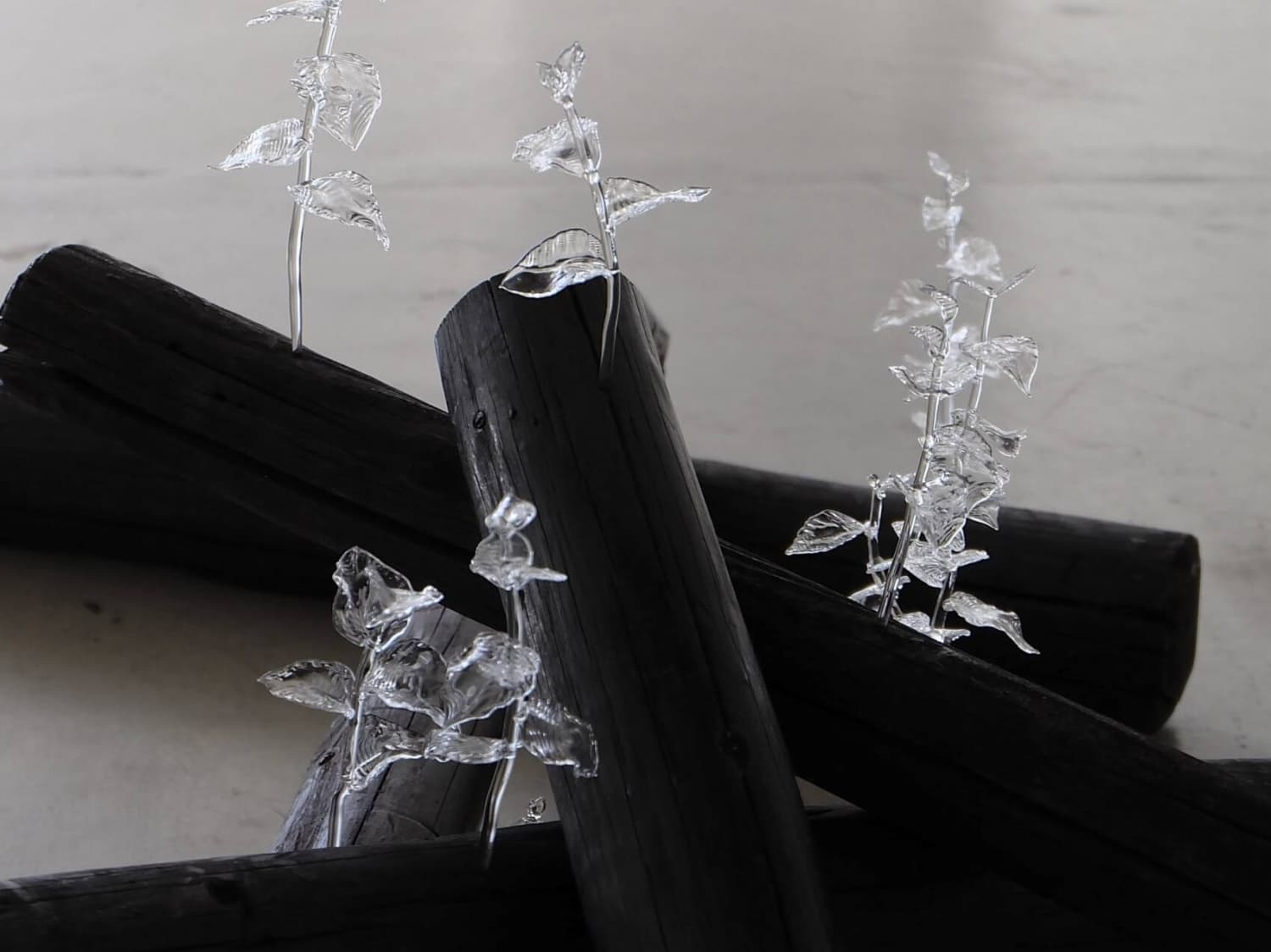 Notable Emerging Artists from Kansai to Observe