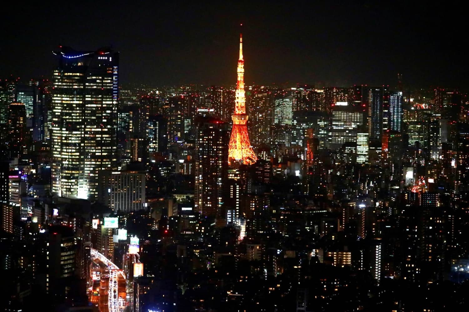 LDP Advocates for Stricter Land and Visa Regulations Without Nationality Bias