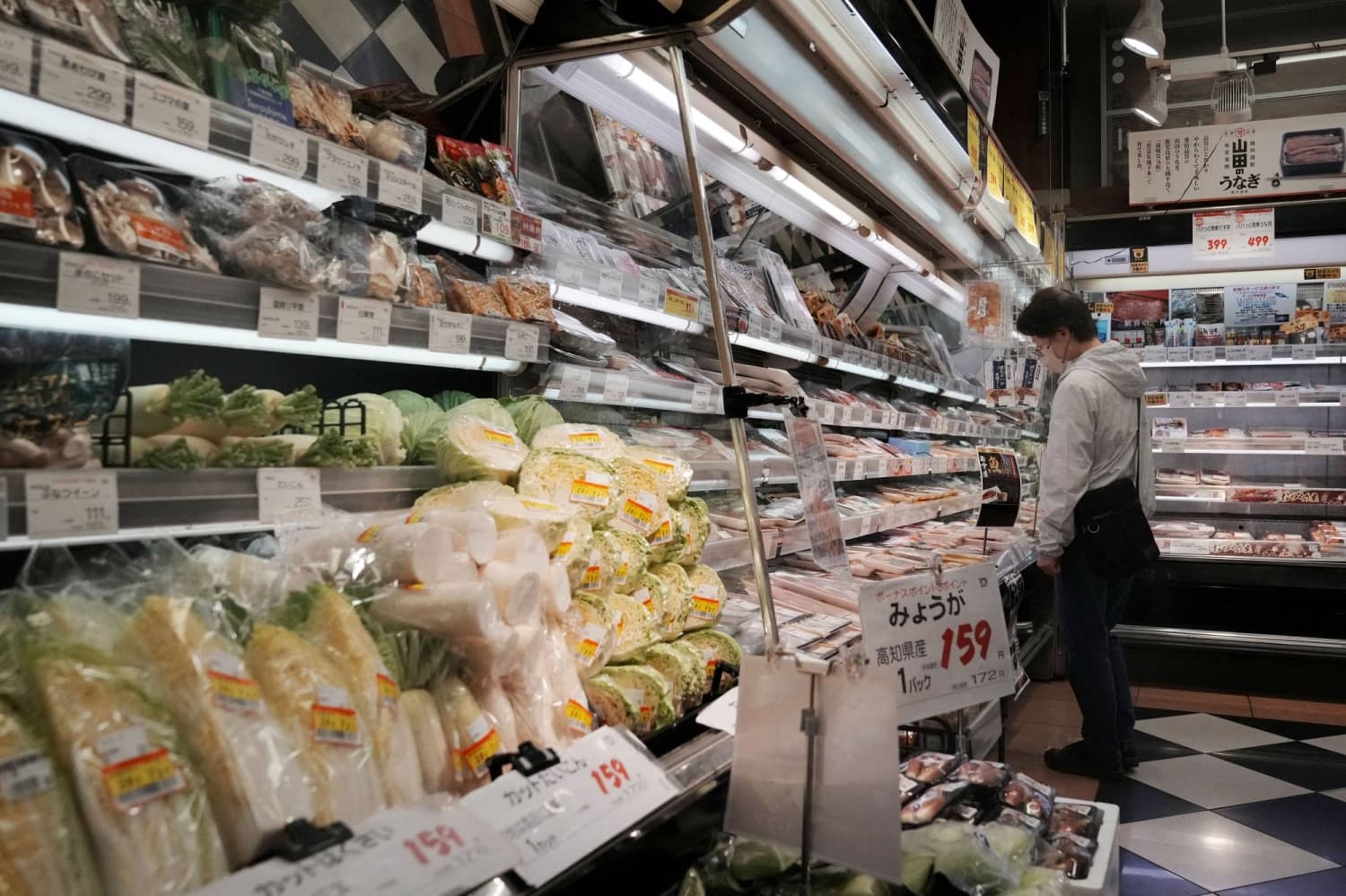 Potential Negative Effects of Grocery Consumption Tax Cut on Japan's Economy