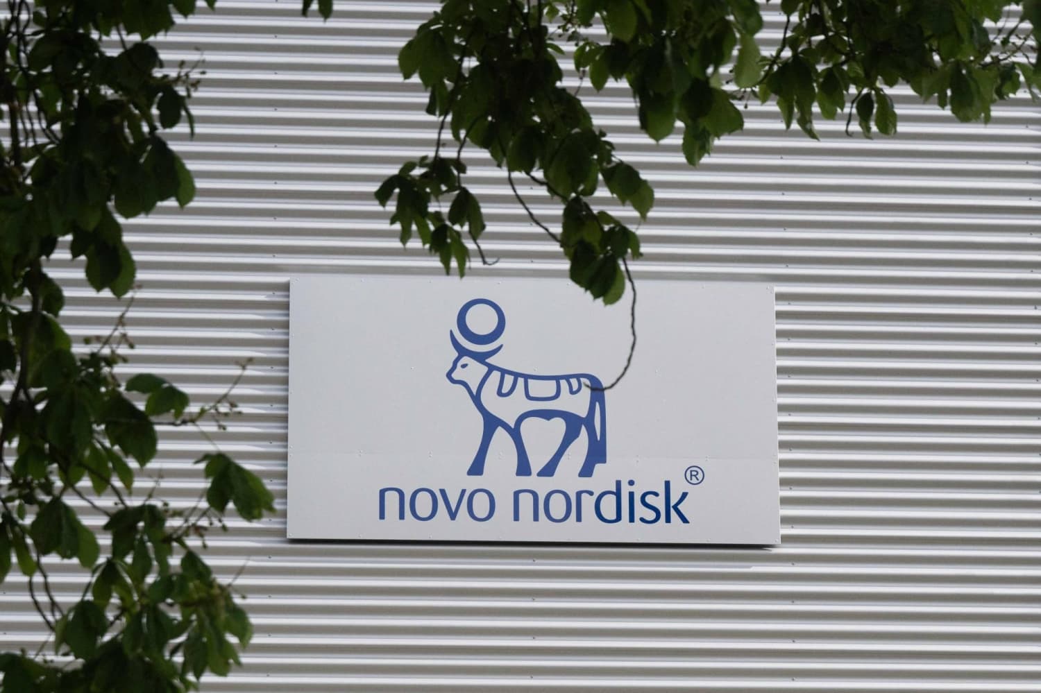 Cyber Extortion Group Targets Novo Nordisk, Demands $25 Million Ransom