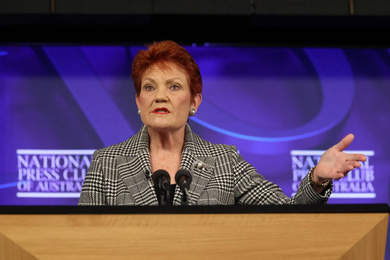 Pauline Hanson Advocates for a Monocultural Australia Amid Housing Crisis