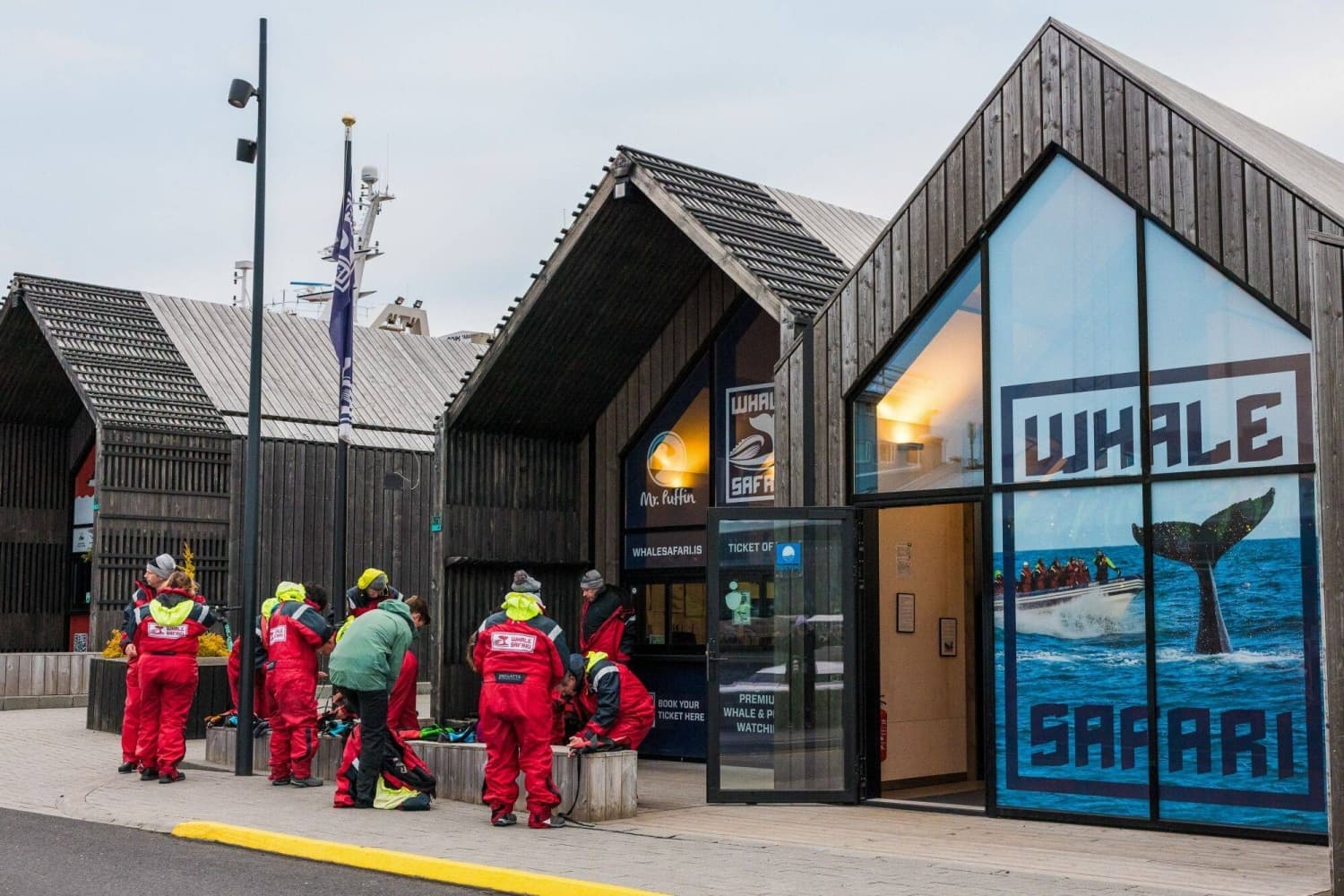 Iceland Resumes Commercial Whaling, Killing First Whales Since 2023