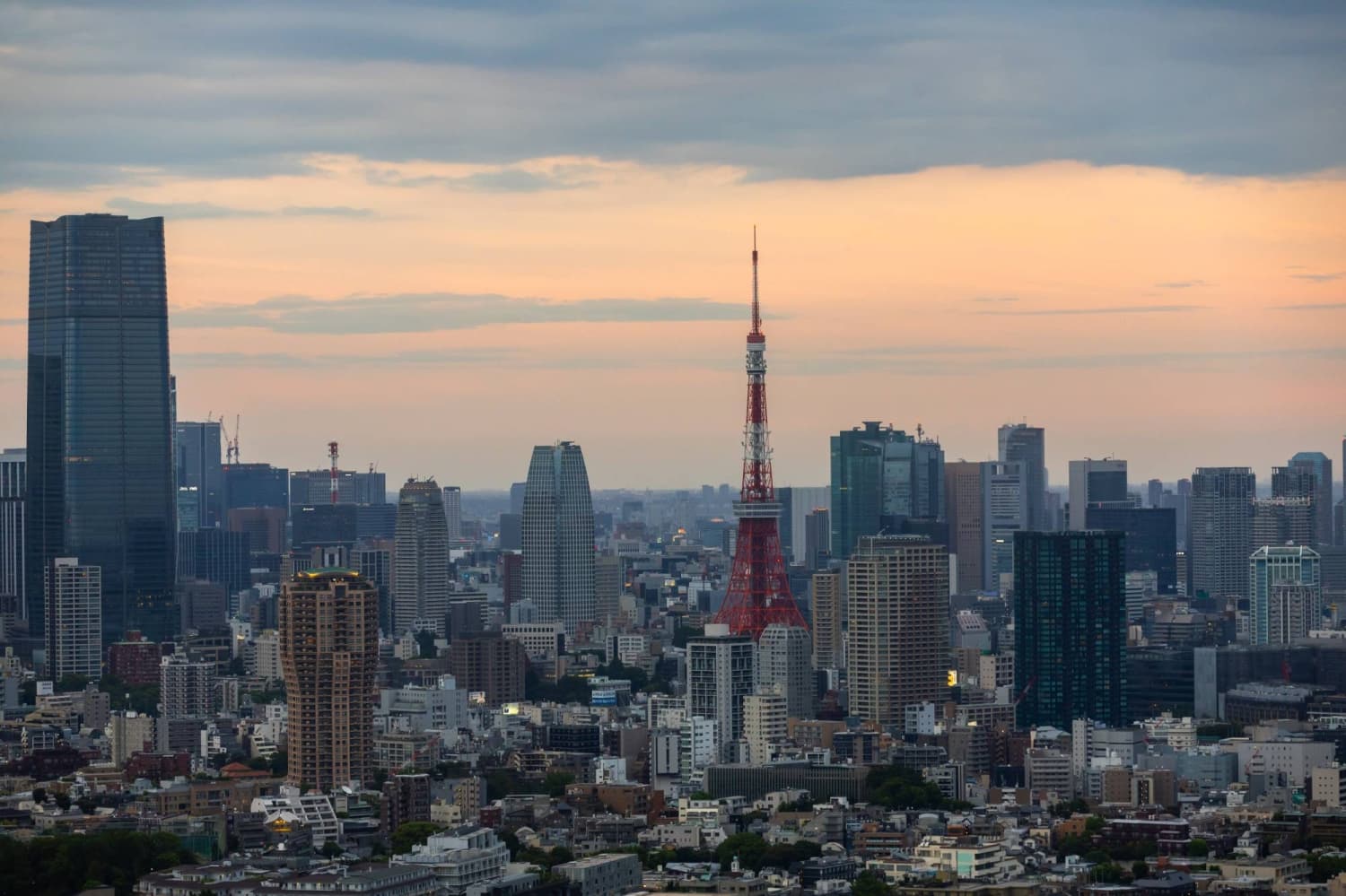 Investors Transition from Japan's Value Stocks to High-Growth Equities