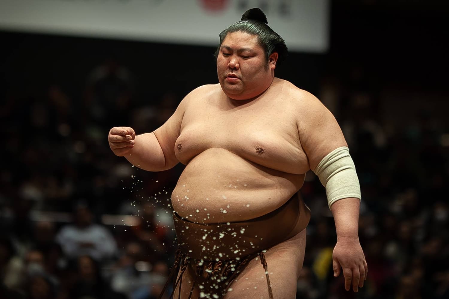 Honoring Sumo's Unsung Veterans: The Legacy of Tsurugisho