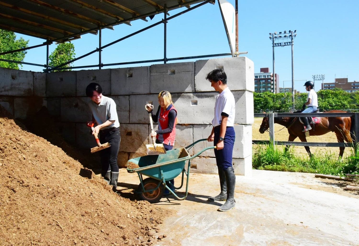 University Equestrian Club Converts Horse Manure into Organic Fertilizer