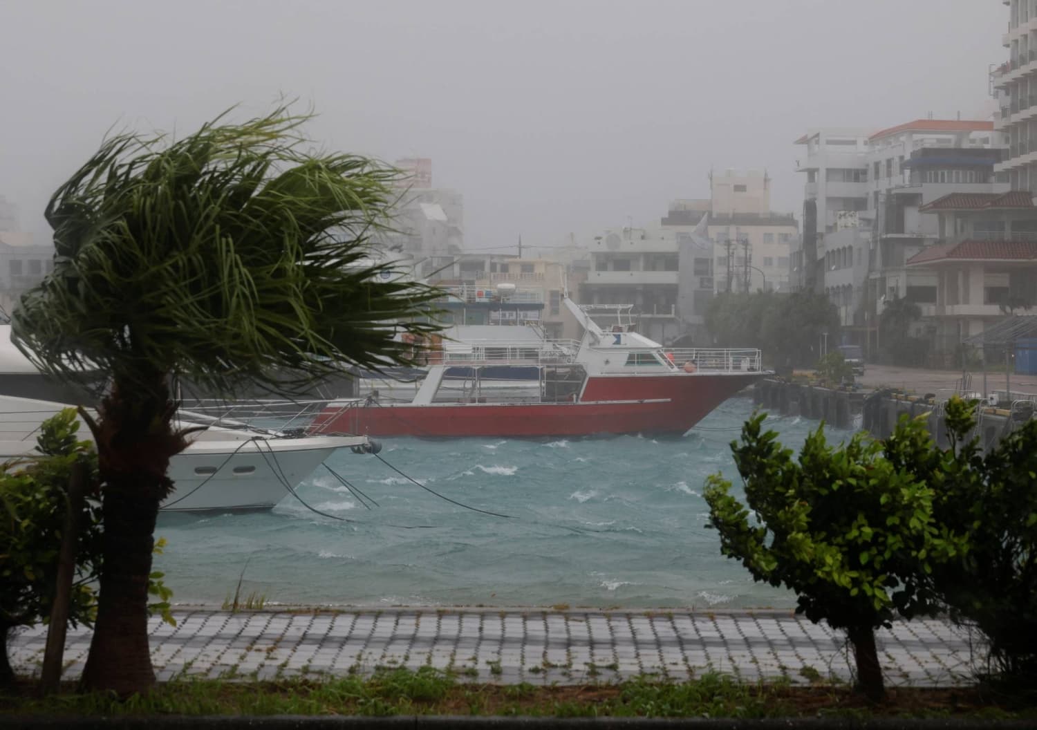 Typhoon Bavi Hits Okinawa, Taiwan Evacuates Over 14,000 Residents