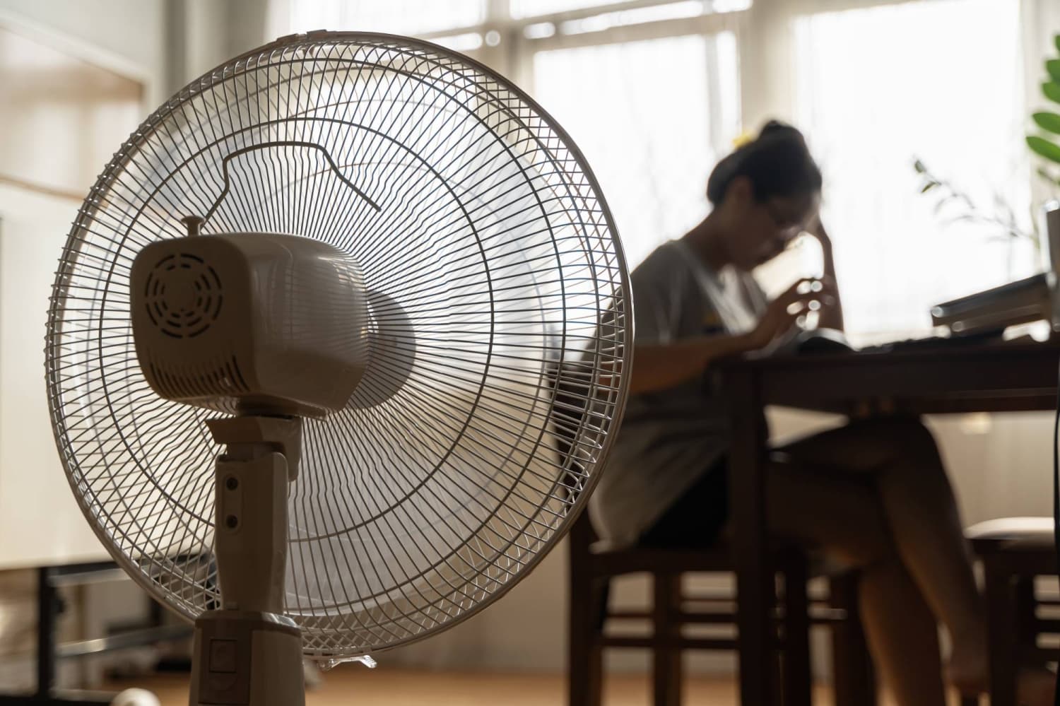 Japan Faces Extreme Heat as Double Storm Threat Looms