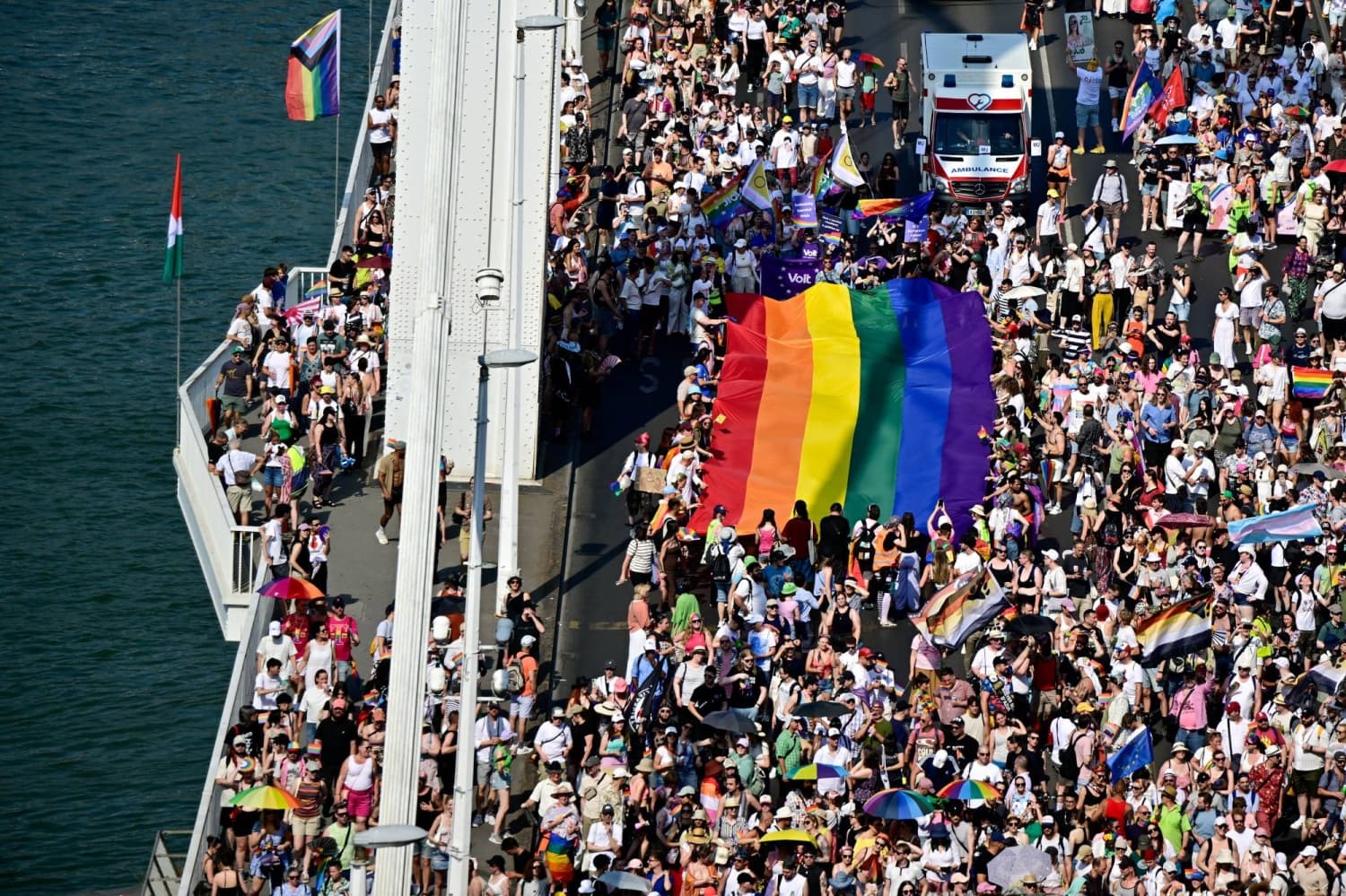 Lessons from Budapest's Pride March on Japan's Family Rights