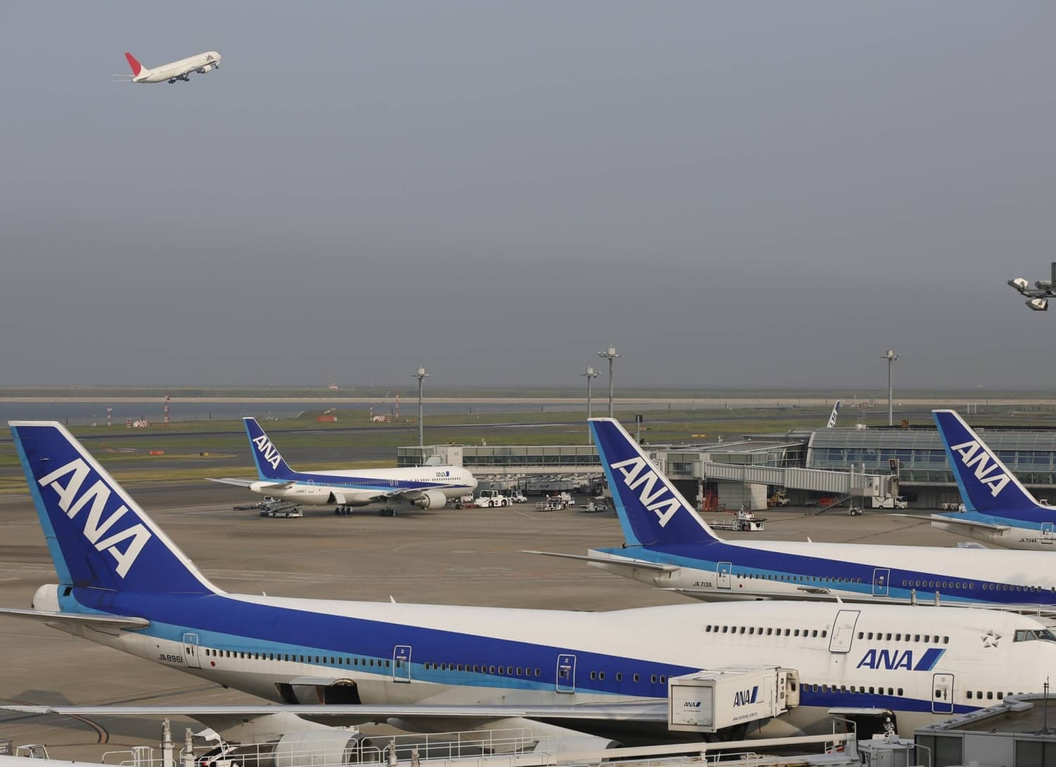 ANA Captain Sentenced to Prison for Assaulting Flight Attendant