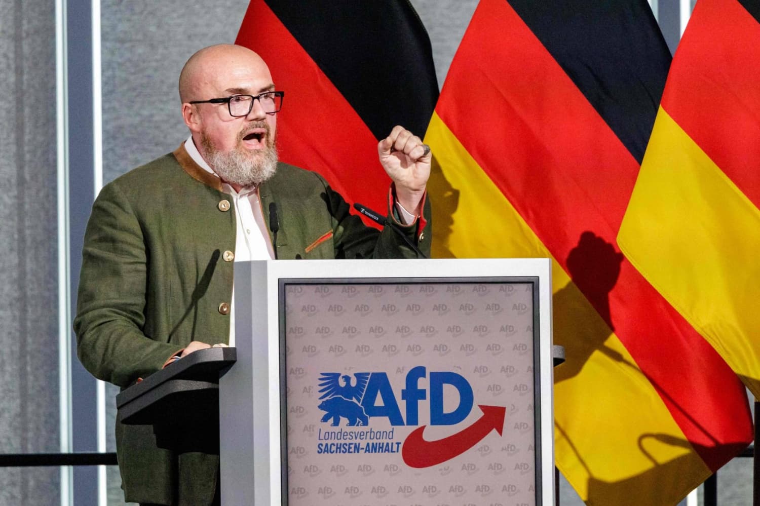 Germany's AfD Targets Regional Election in Saxony-Anhalt Amid Rising Tensions