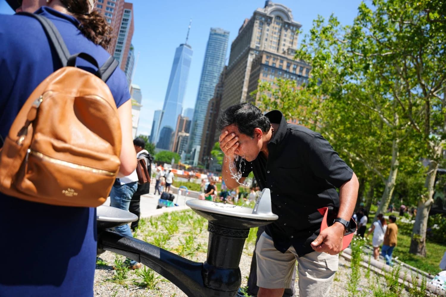Backlash Against Energy Efficiency Driven by Politics, Not Policy