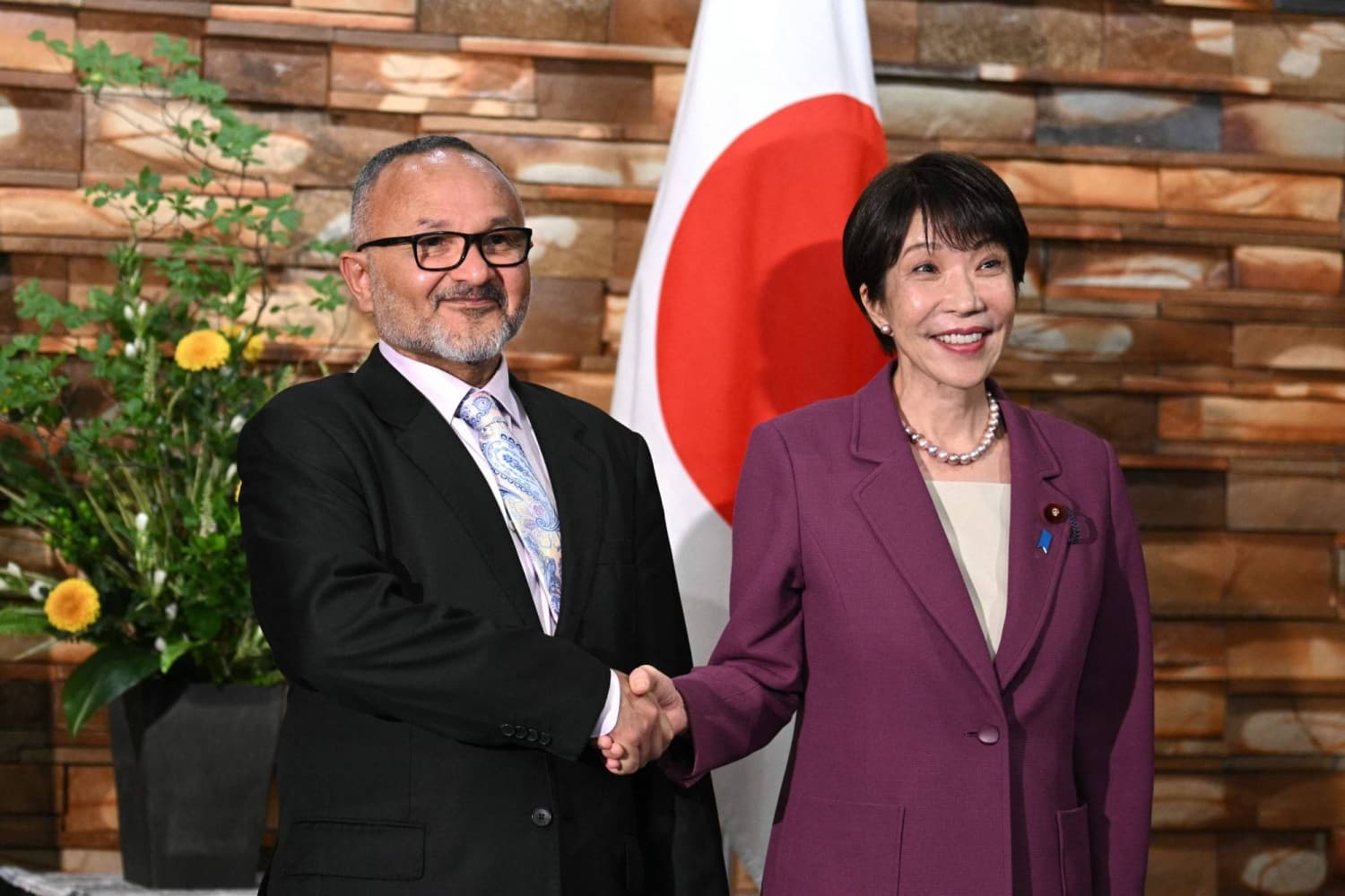 Japan and Solomon Islands Leaders Strengthen Diplomatic Relations