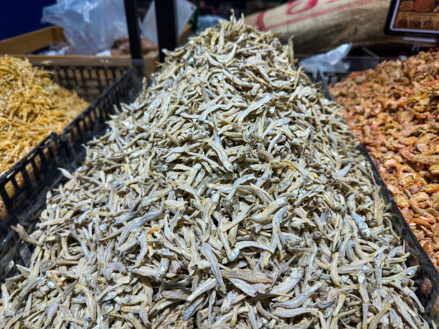 Global Economy Faces Challenges Due to Anchovy Supply Issues
