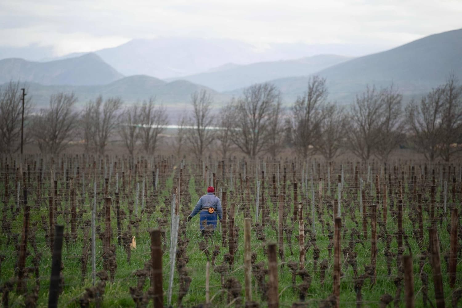 South Africa Faces Labor Shortages Amid Migrant Exodus