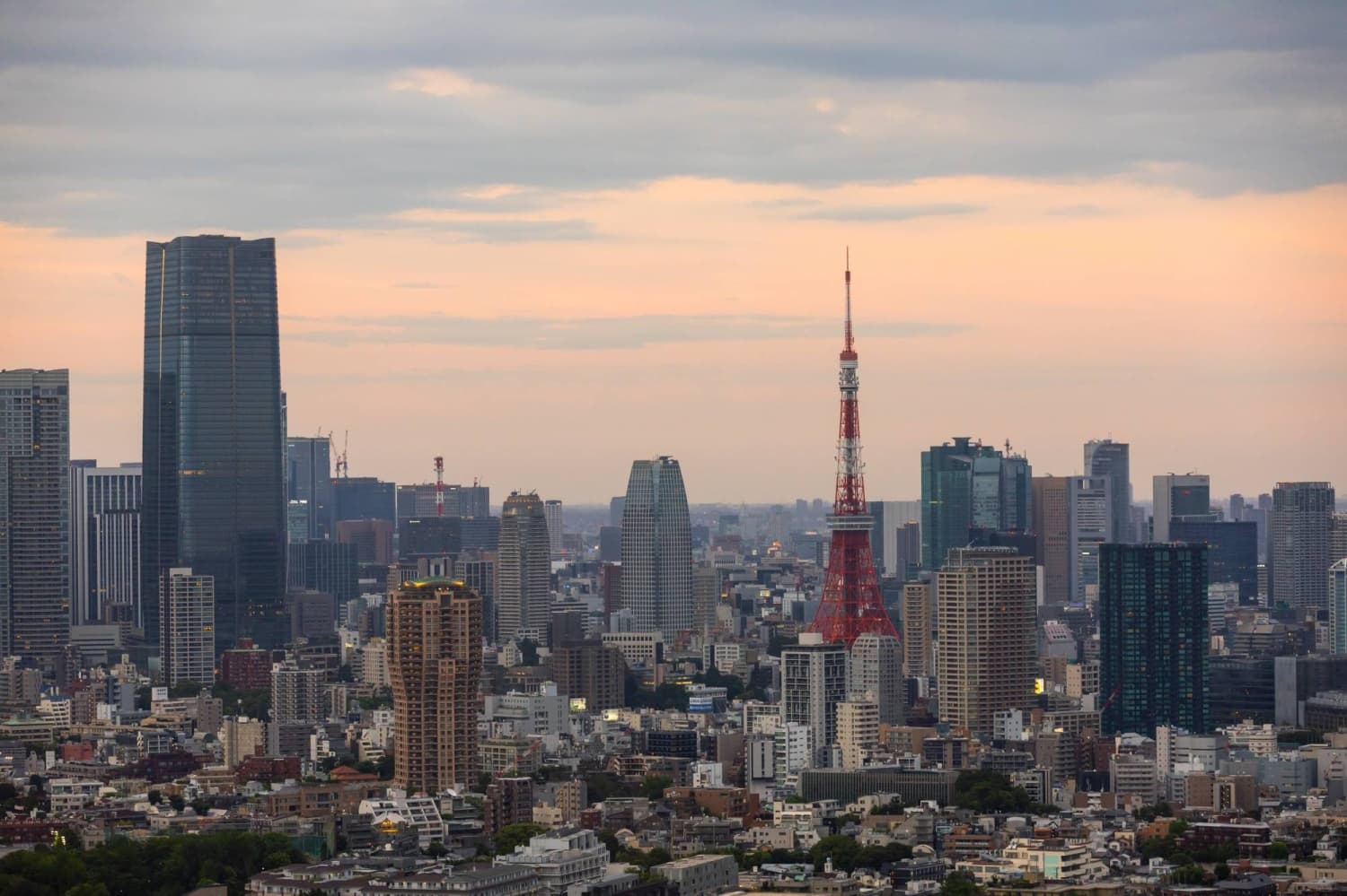 Popularity of Single-Premium Whole Life Insurance Grows in Japan