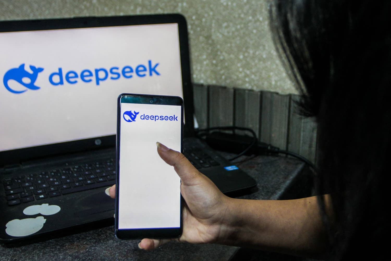 DeepSeek Plans Major AI Data Center in Inner Mongolia