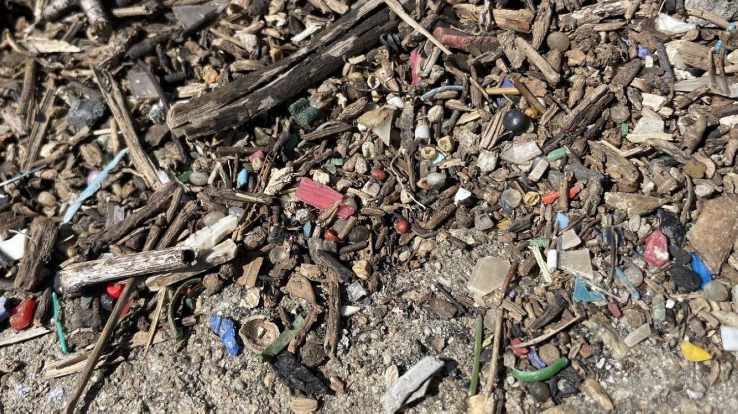 Nagoya's tidal flat faces pollution from plastic waste, raising ecological concerns