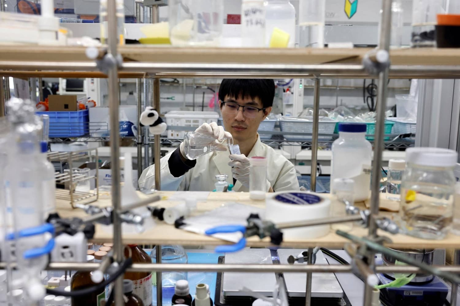 Study Links Gut Bacteria to Colorectal Cancer Cases in Japan