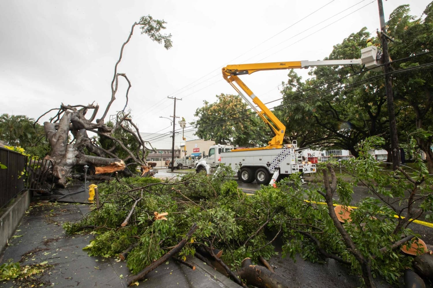 Storm Lala Claims One Life in Hawaii as Heavy Rain and Winds Approach