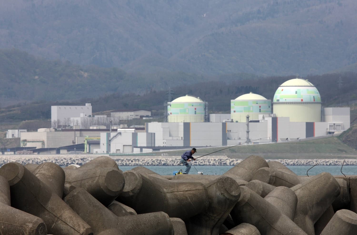 Fatal Accident at Japanese Nuclear Plant May Delay Restart Plans