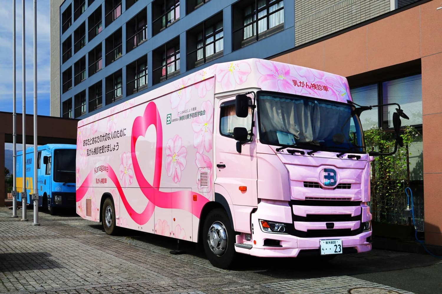 Japan Updates Breast Cancer Screening Guidelines to Include Dense Tissue Notification