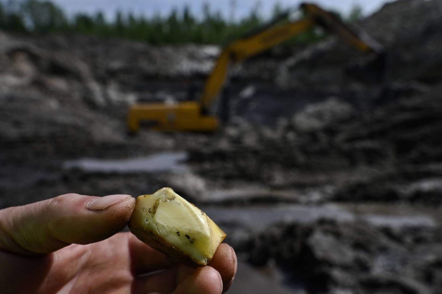 Illegal Amber Mining Flourishes in Ukraine Amid Ongoing Conflict