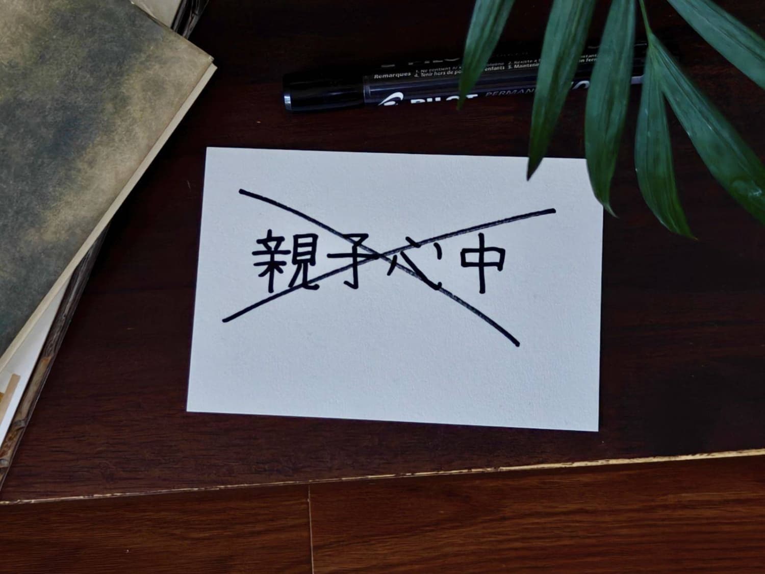 Japan Reevaluates Language Surrounding Parent-Child Deaths