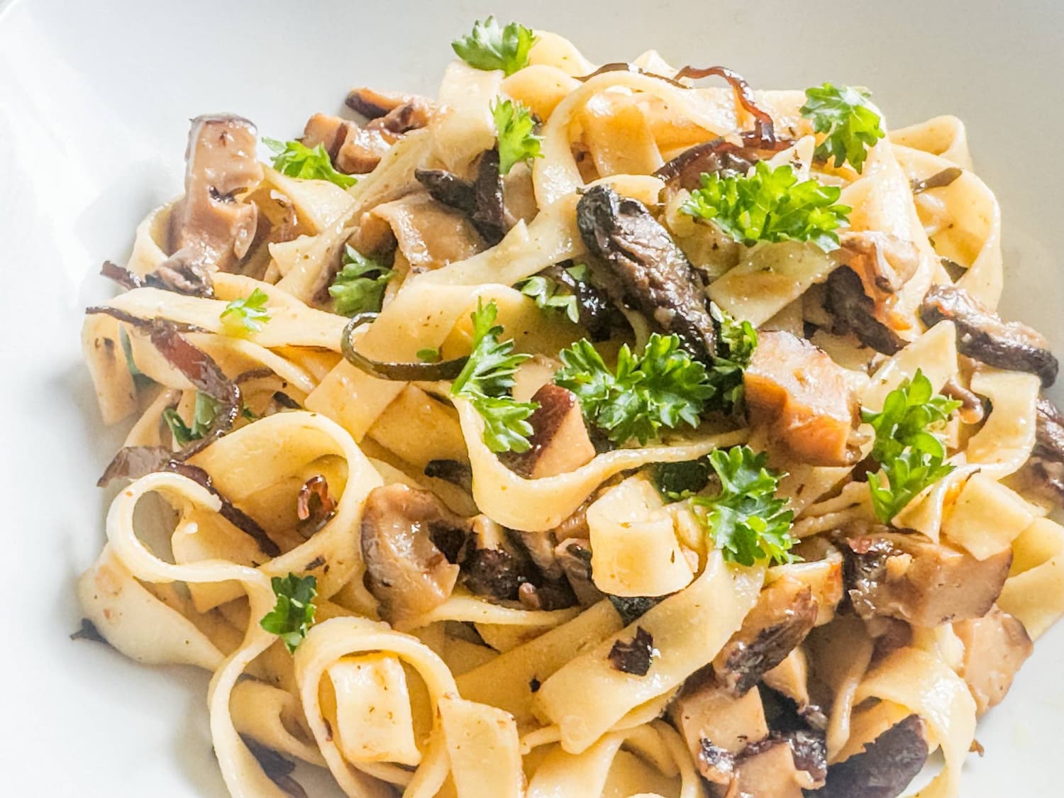 Japan's Shiitake Mushrooms Reach Peak Flavor This Season