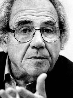 Baudrillard Üzerine Çeviri ve Anlayış Denemesi